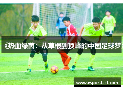 《热血绿茵：从草根到顶峰的中国足球梦》