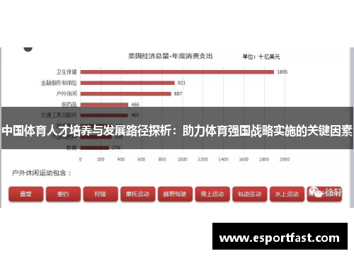 中国体育人才培养与发展路径探析：助力体育强国战略实施的关键因素